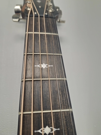 Taylor Guitars - 317E 5